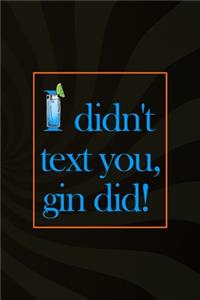 I Didn't Text You, Gin Did!