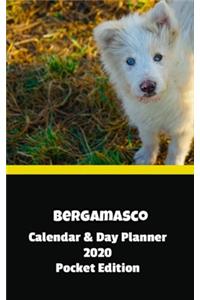 Bergamasco Calendar & Day Planner 2020 Pocket Edition