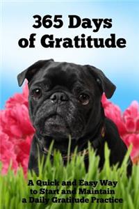 365 Days of Gratitude