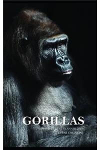 Gorillas Monthly Note Planner 2019 1 Year Calendar