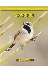 Sparrow