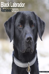 Black Labrador Retriever 2023 Wall Calendar
