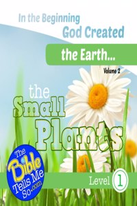 In the Beginning God Created the Earth - The Small Plants