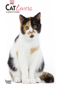 Cat Lovers 2023 Engagement