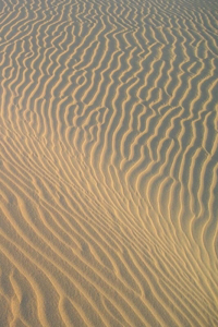 Desert Sand Notebook