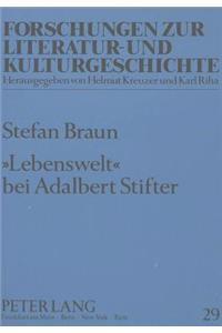 «Lebenswelt» Bei Adalbert Stifter