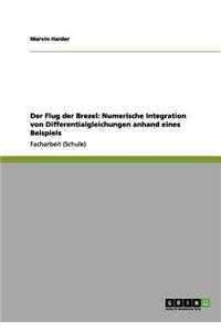 Flug der Brezel