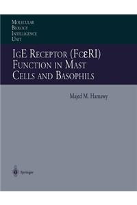 IGE Receptor (Fcεri) Function in Mast Cells and Basophils