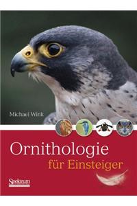 Ornithologie Für Einsteiger