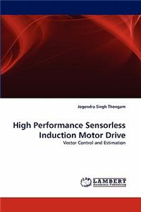High Performance Sensorless Induction Motor Drive