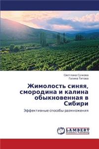 Zhimolost' sinyaya, smorodina i kalina obyknovennaya v Sibiri