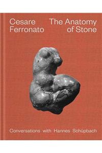 Cesare Ferronato: The Anatomy of Stone