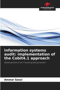 Information systems audit