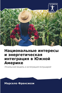 Национальные интересы и энергетическая