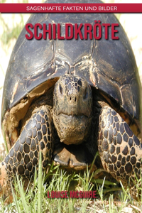 Schildkröte