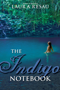 Indigo Notebook