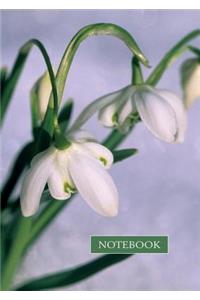 Notebook: Snowdrop