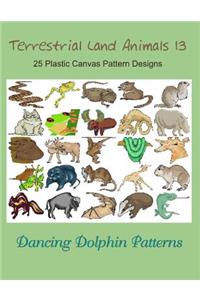 Terrestrial Land Animals 13