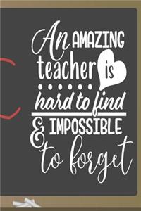 An Amazing Teacher is Hard to Find and Impossible to Forget
