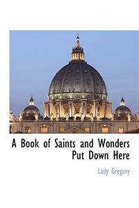 Book of Saints and Wonders Put Down Here