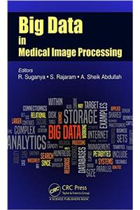 Big Data in Medical Image Processing