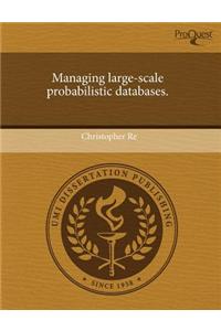 Managing Large-Scale Probabilistic Databases