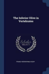 Inferior Olive in Vertebrates