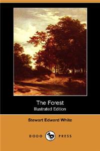 Forest (Illustrated Edition) (Dodo Press)