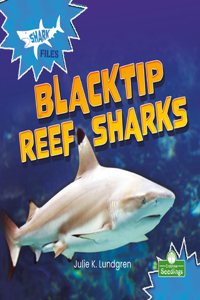 Blacktip Reef Sharks