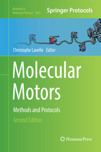 Molecular Motors