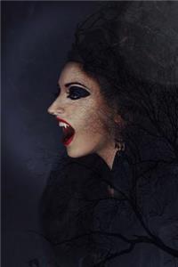 Cool Image Journal #3