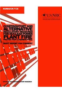 Compensatory and Alternative Regulatory Measures for Nuclear Power Plant Fire Protection (Carmen-Fire)