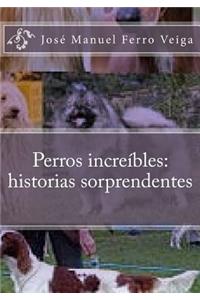 Perros increíbles