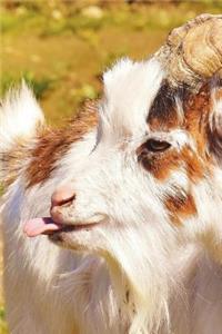 Goat Sticking Out Its Tongue Journal