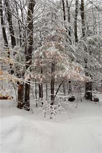Journal Scenic Winter Weather Forest