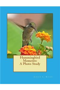 Hummingbird Moments