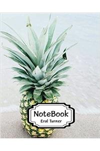 Pineapple Notebook: Pocket Notebook / Journal / Diary: 1
