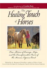 Healing Touch for Horses