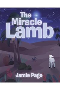 Miracle Lamb