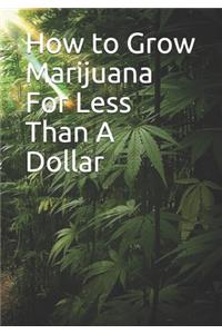 How to Grow Marijuana For Less Than A Dollar