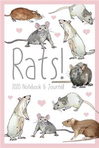 Rats! Rat Journal
