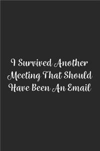I Survived Another Meeting That Should Have Been An Email.