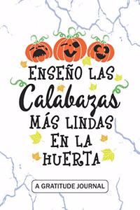 Enseno las calabazas mas lindas en la huerta - A Gratitude Journal