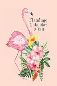 Flamingo Calendar 2020