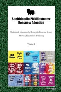 Sheltidoodle 20 Milestones