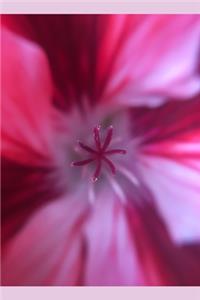 Pink Petaled Flower Journal