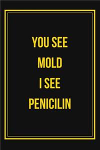 You See Mold I See Penicilin