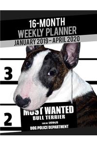 2019-2020 Weekly Planner - Most Wanted Bull Terrier