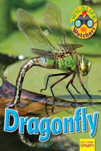 Wildlife Watchers: Dragonfly