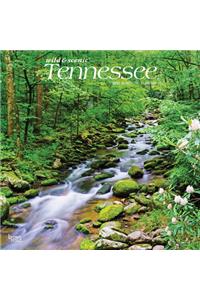 Tennessee Wild & Scenic 2021 Square